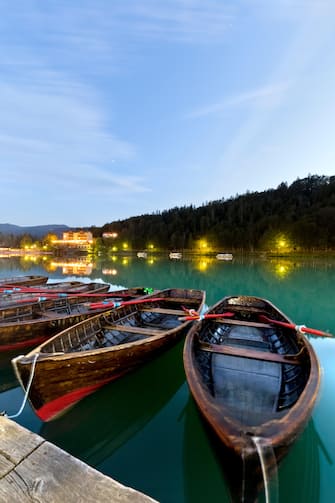 Rowboats moored at the Lake Lavarone. The lake is famous for being the holiday destination of the psychoanalyst Sigmund Freud. Trentino, Italy.